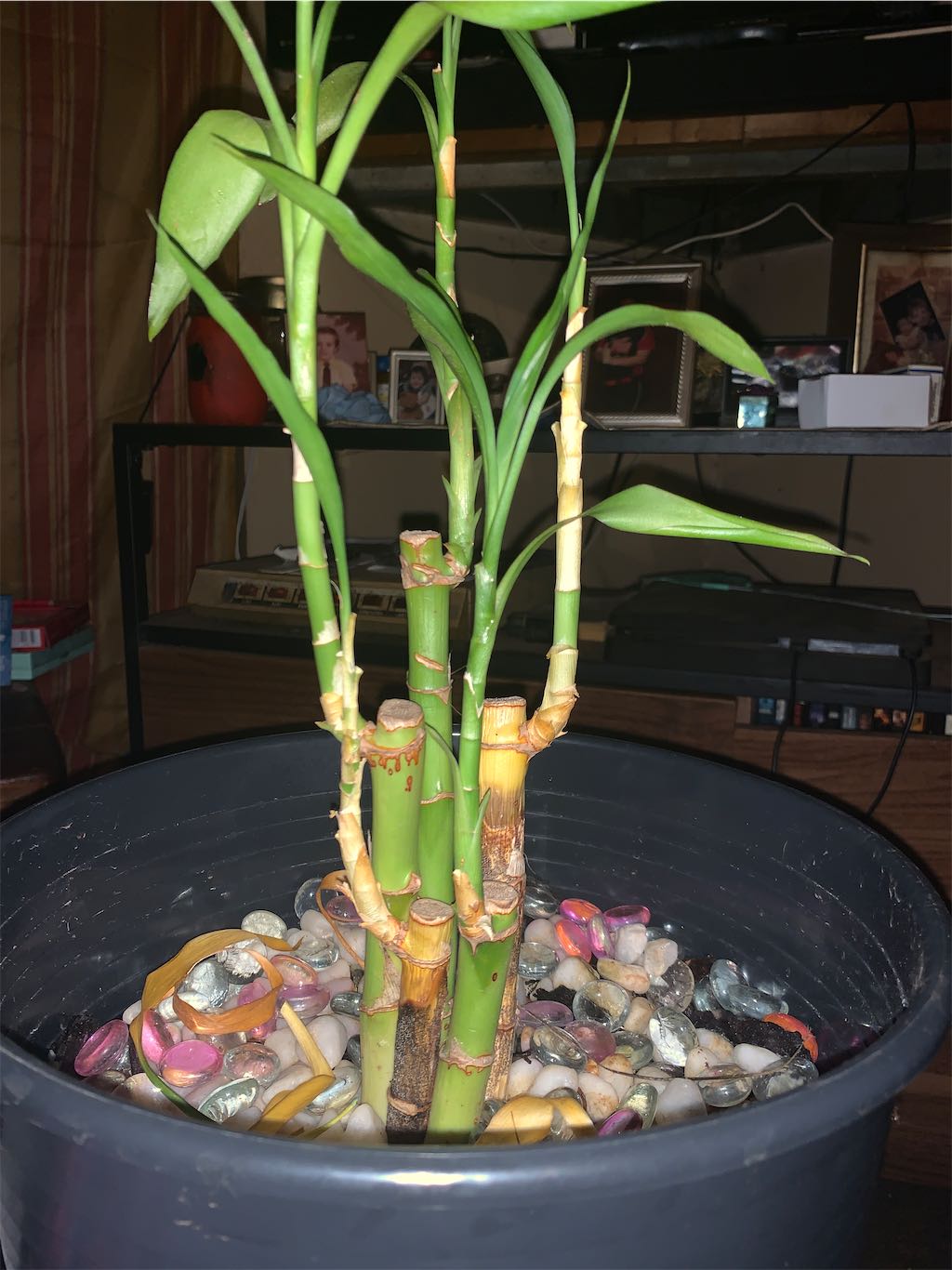 palm tree planter Faux Palm Tree in Wicker Planter #1